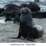 瑟瑟瑟网站:探索多元文化与创意分享的在线平台 09afg