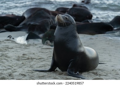 瑟瑟瑟网站：探索多元文化与创意分享的在线平台