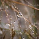 瑟瑟瑟网站免费:畅享无限资源,轻松获取精彩内容! 0jelz4