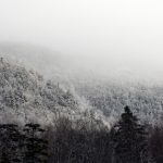 生日礼物送什么好给女生:精选创意与实用的完美礼物推荐 1chnlj15