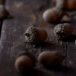 王雨纯一丝不挂照片引发热议,网友热情讨论 lx3tq