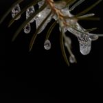 琉璃神社 acg:探索琉璃神社背后的神秘与魅力 s1ixboydea