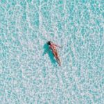 深入解析zz倾向的含义及其影响 u0qmk48he