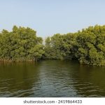 生日礼物歌词:为你特别定制的温暖旋律与祝福 yldztcp5