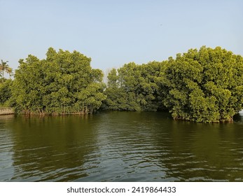 生日礼物歌词：为你特别定制的温暖旋律与祝福