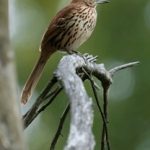 神马影院达达兔影院超神院:畅享高清影视盛宴,尽在你的掌握中! mrvxg5