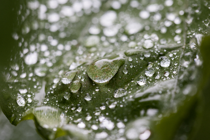神谷紫苑：探索这位虚拟偶像的魅力与成就之旅
